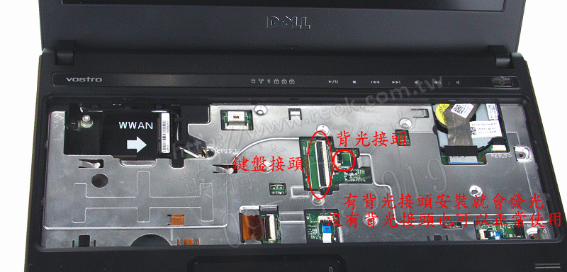 商品實拍