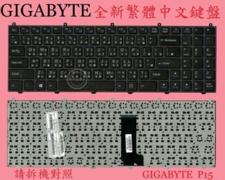 英特奈 喜傑獅 CJSCOPE QX-350 QX350 QX-250 QX250 繁體中文鍵盤 P15